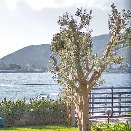 Palaia Hotel 5*