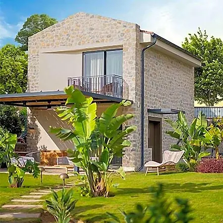 Palaia